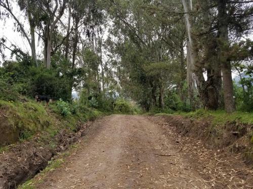 Posada Hacienda San Isidro de Iltaqui
