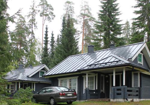 Tervakosken Tervaniemi
