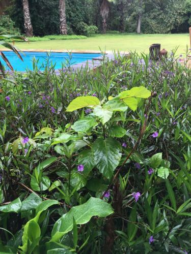 Hostal Meru House