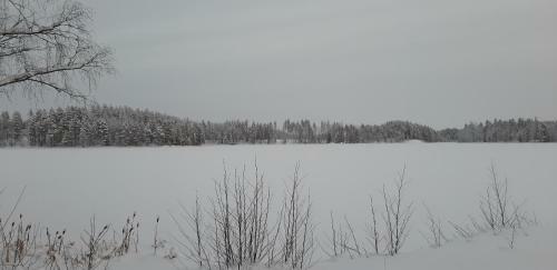Holiday Homes Majoinen