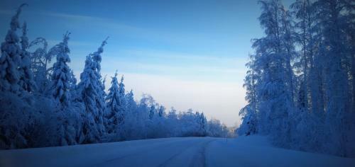 Holiday Homes Majoinen