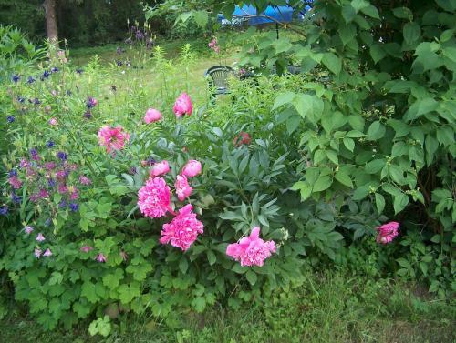 Bed & Breakfast Jokelan Kartano