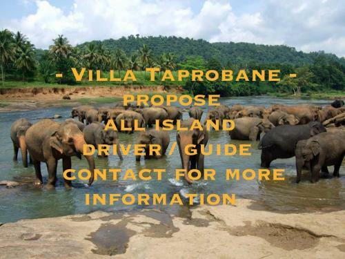 Bed & Breakfast Villa Taprobane