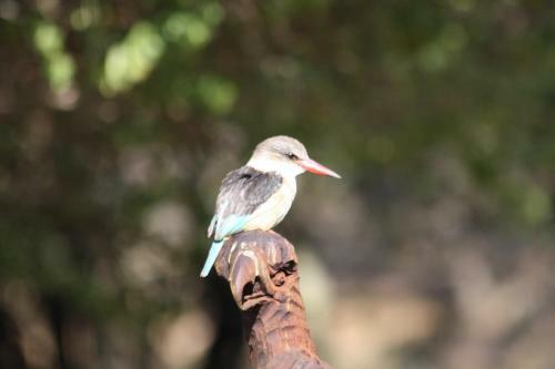 Hostal Birds Babble Self Catering Guesthouse