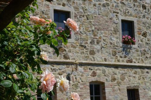 Agroturismo Country House Grencaia