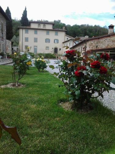 Agroturismo Residenza San Leo