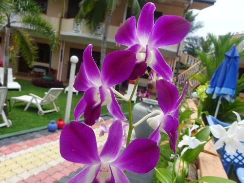 Hotel Hilda Guest House