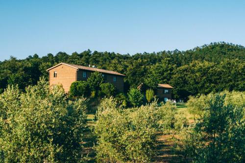 Bed & Breakfast Podere San Francesco