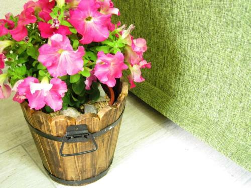 Agroturismo Eco-selo Grabovica