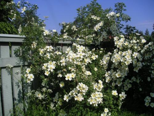 Bed & Breakfast Fem Rum Och K�k
