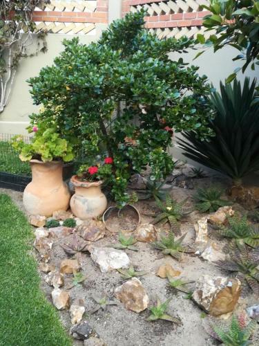 Hostal Desert Villa Guesthouse