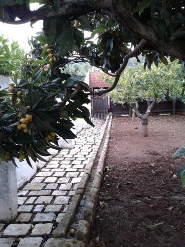 Agroturismo Masseria Galleppa