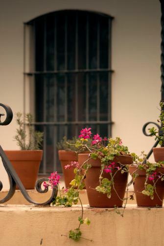 Agroturismo Estancia Estrella Federal