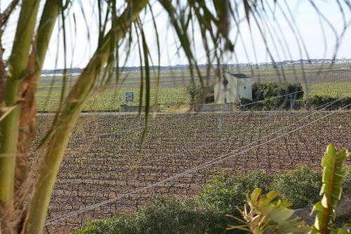 B&B La Vigna