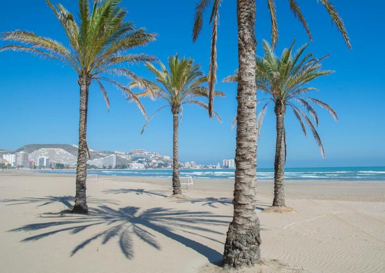 Apartamento Florazar II