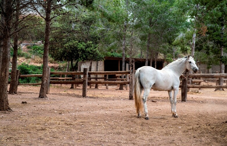 Aparthotel Pierre & Vacances Bonavista