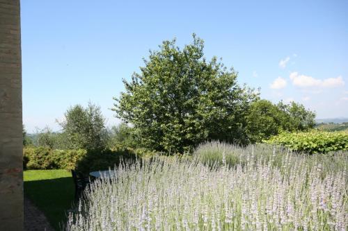 Agroturismo Podere Il Pino