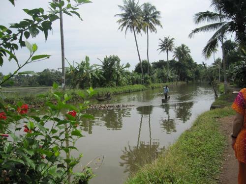 Bed & Breakfast Gk`s Riverview Homestay