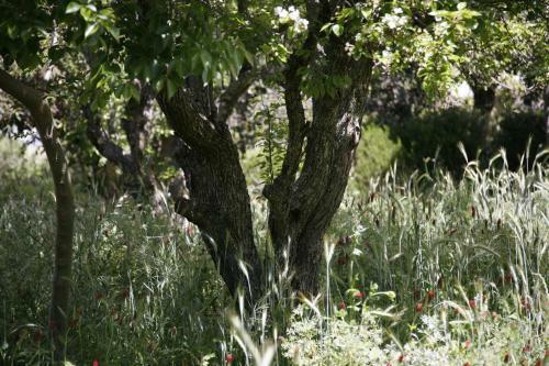 Hotel Rozendal Guest Farm