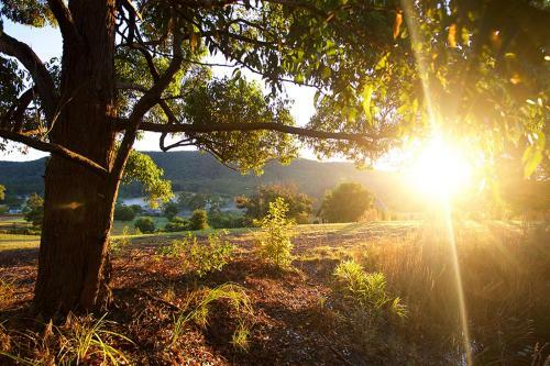 Agroturismo Clarendon Forest Retreat
