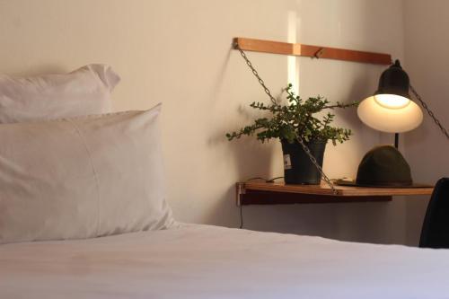 Albergue Curiocity Backpackers