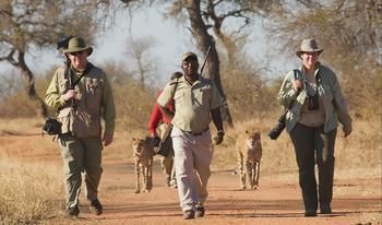 Tshukudu Game Lodge