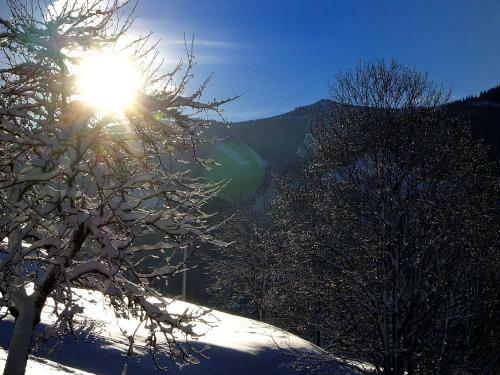 Apartamento MH Appartement Bartolot