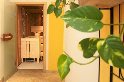 Hotel Eder Michaela