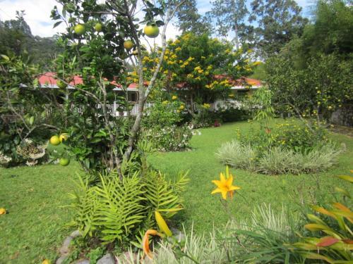 Bed & Breakfast Casa Romero