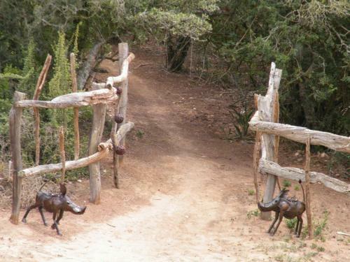 Agroturismo Addo Dung Beetle Guest Farm