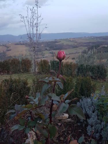 Apartamento Casa Vacanze La Ginestra