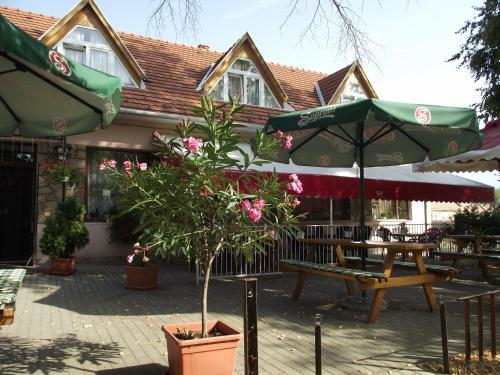 Bed & Breakfast Ludas Fogad�