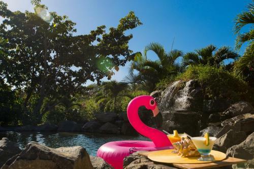 Bed & Breakfast Cabanas Los Colibris
