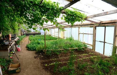 Agroturismo Barnabrow Country House