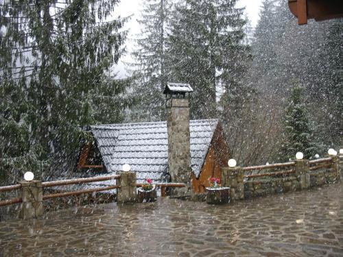 Hotel Karpatska Villa