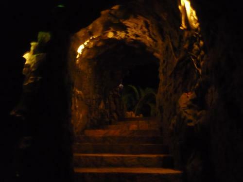 Agroturismo Caba�as Amazonia