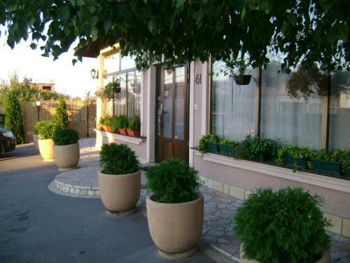 Hostal Guest Accomodation Konak