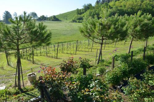 Agroturismo Cascina Castagneto