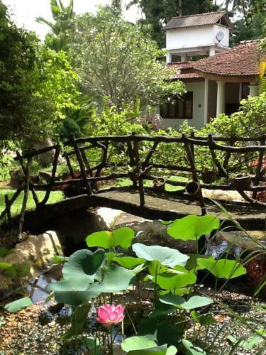 Hostal Leijay Resort