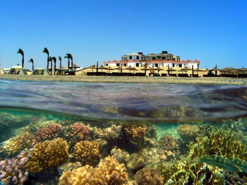 Hotel Coral Garden Resort