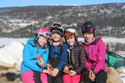 Hotel Gomobu Fjellstue