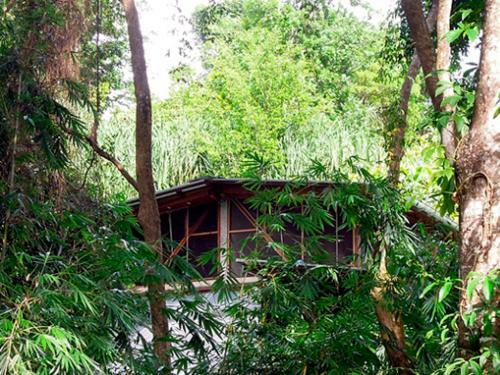 Omega Tours Eco-jungle Lodge
