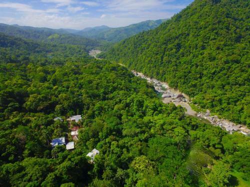 Omega Tours Eco-jungle Lodge