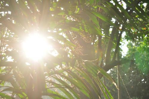 Hotel Soba Lanka Holiday Resort