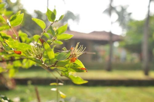 Hotel Soba Lanka Holiday Resort