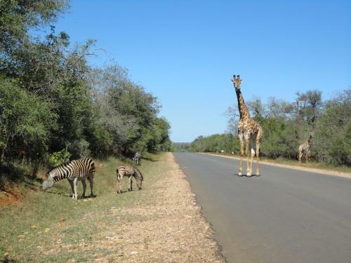 Apartamentos Khumbula Iafrica