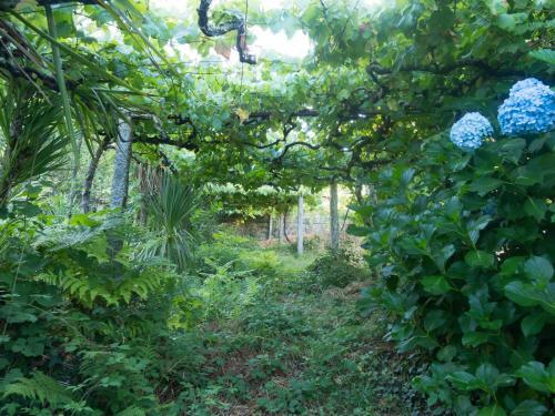 Agroturismo Quinta Das Leiras