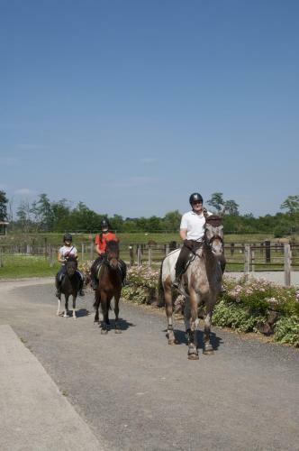 Agroturismo Agriturismo Jesson Rosamund