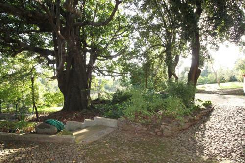 Agroturismo Quinta Das Faias