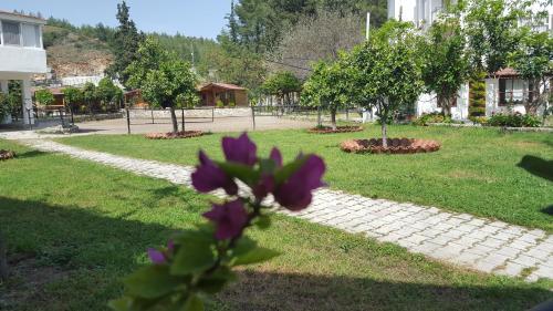 Oranj Ranch Hotel